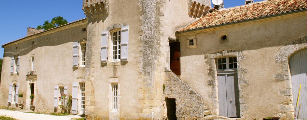 Chateau De La Combe Puyrenier Exterior photo